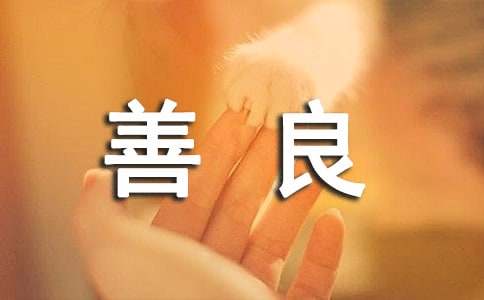 ʵ�õ�����������600�֣�ʵ�ã�