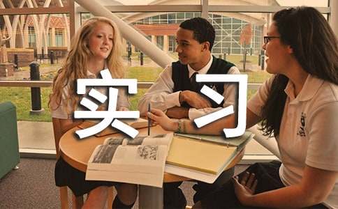 ��ѡ������ʵϰ������ƪ