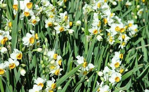 ˮ�ɻ�����(����)