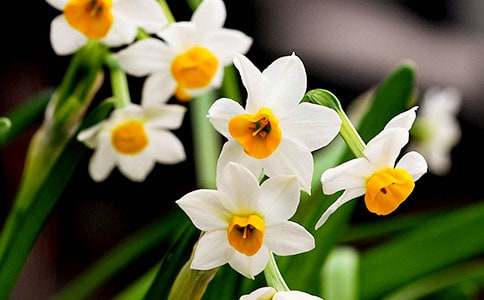 ˮ�ɻ�������15ƪ���ر���