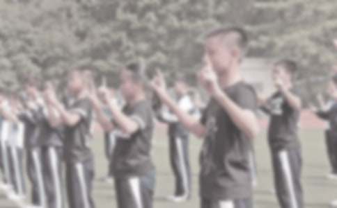 ���꼶������ѧ�����ܽ�