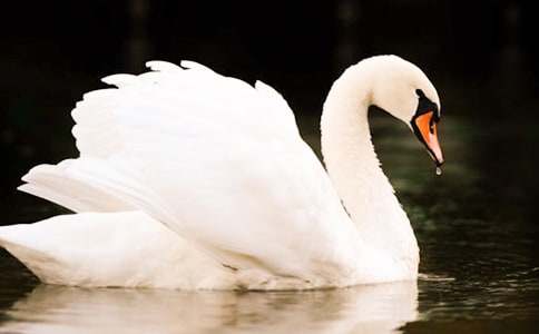 ��������ģ����䣩