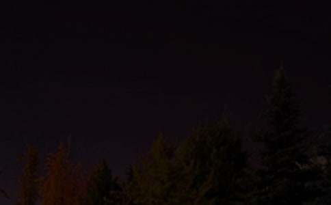 ������������˵˵��ȫ����ѡ175�䣩