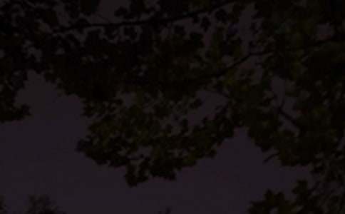 �Ƽ�����������˵˵����ѡ80�䣩