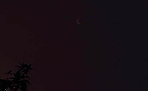 ������������������Ȧ�ʺ��Ｏ��75��