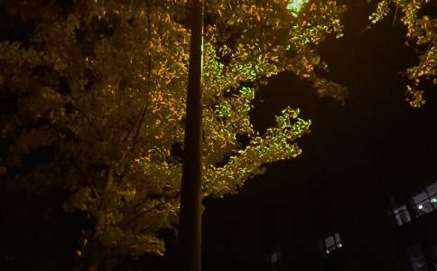 2026����ܰ�������ʺ�����¼�󼯺�51��