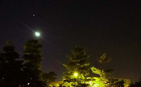 2026�꾭��Ψ��������QQ�ʺ���ժ¼80��