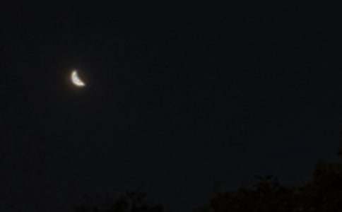 �Ƽ�ů�������İ���ȫ����ѡ115�䣩