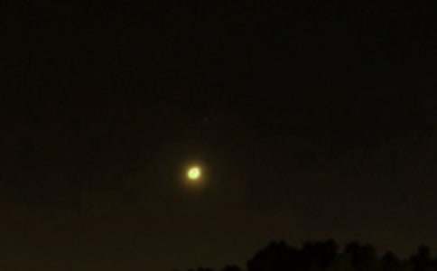 �����š�2026�������ʺ���29��