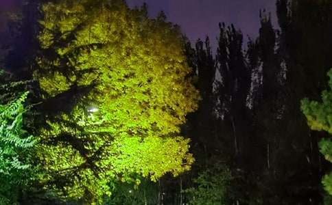 ���������������ʺ�����Ŵ�ϼ�66��