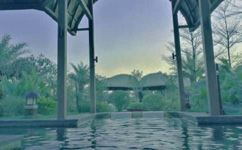 ��Ȫ֮������[����]