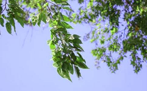 �����簲�ʺ�����ܣ���ѡ50�䣩