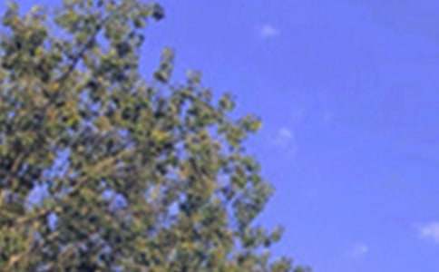 �����簲˵˵����80�侫ѡ