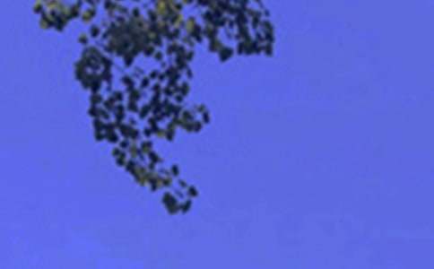 2026�����õ��簲�ʺ������ժ¼33��