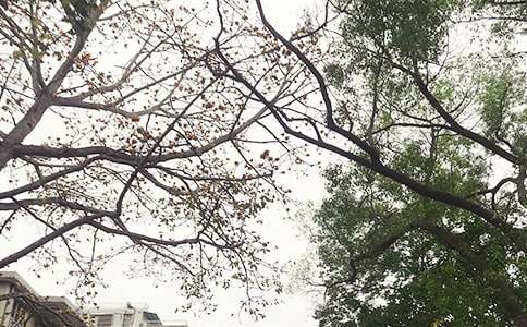 ������ܰ�簲�İ�50�侫ѡ