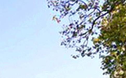 Ψ���簲�İ���ȫ50��