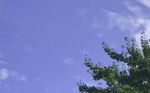 �����簲�İ���ͨ��60�䣩