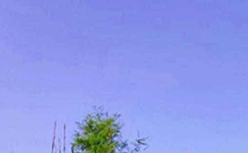 ������־�簲˵˵����ѡ80�䣩