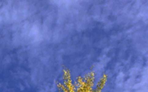 ����ů���簲�İ���ȫ��ͨ��70�䣩