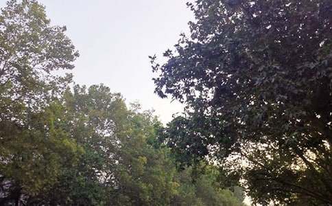 ���������簲�İ�30�侫ѡ