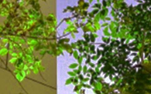 ����Ȧ�簲�İ���ȫ����ѡ90�䣩