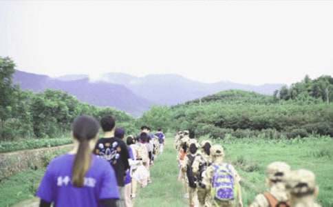 ʵ�õ�����Ӫ�ռǷ��ĺϼ���ƪ