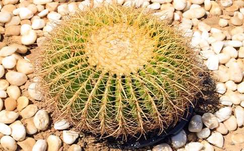 ���������ģ�ͨ��15ƪ��