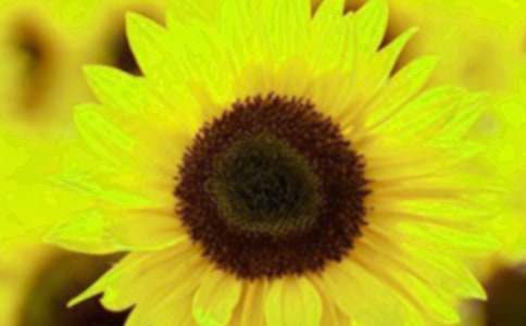 [����]���տ�������15ƪ