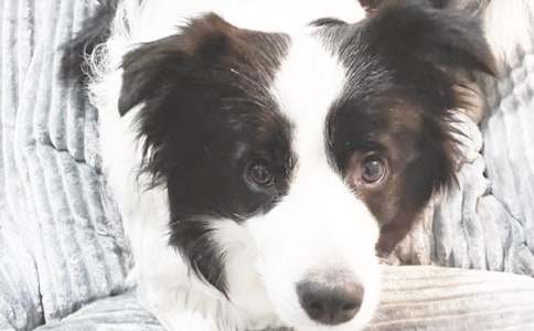 ����������дС��������300�ֺϼ�6ƪ