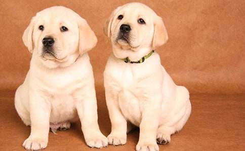 ������ϲ��С��������300��7ƪ