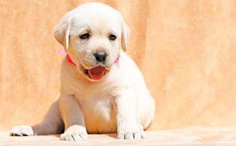 ʵ�õ�С������300�ֺϼ���ƪ