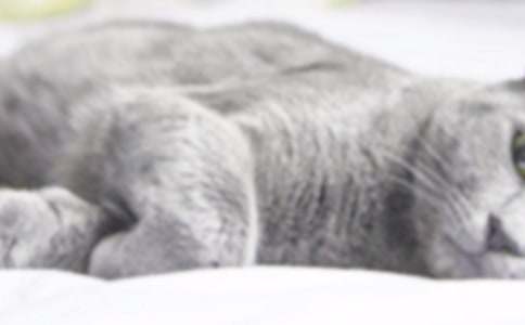 ��������Сè�Ĺ�������300��4ƪ