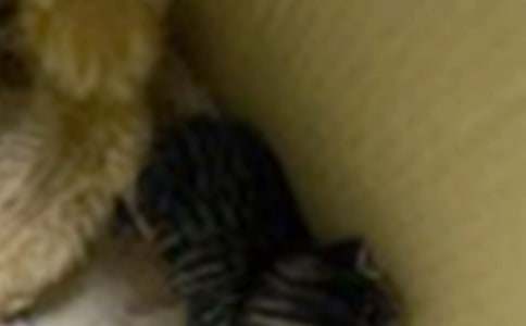 дСè������400����ƪ