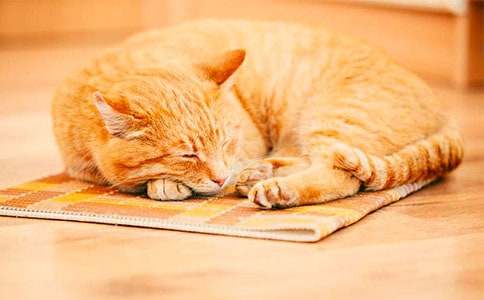 ����Сè������400�ּ���7ƪ