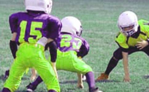 ��������Сѧ���ܼǻ��ܾ�ƪ