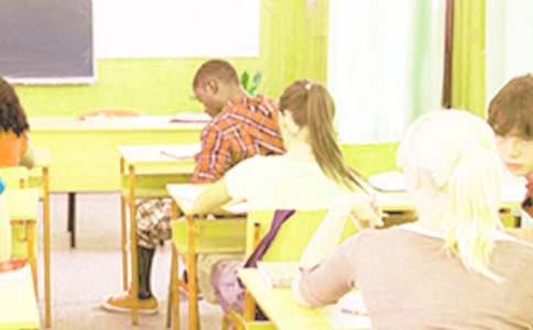 ����Сѧ�������ѧϰ�ƻ�����5ƪ