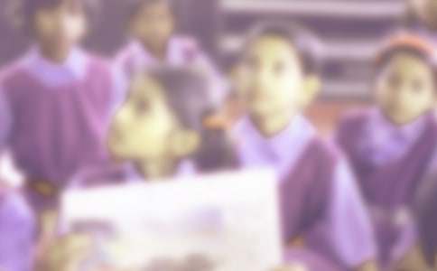 ���Ƽ���Сѧ�������ѧϰ�ƻ���ƪ