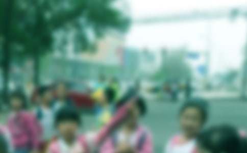 ����Сѧ�������ѧϰ�ƻ������ƪ