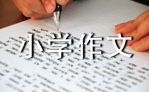 д��Сѧ����500��8ƪ