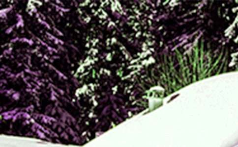 Сѩ�ʺ����ϼ�58��