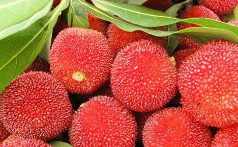 ժ��÷���ġ����š�