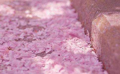 ӣ�����ռ�15ƪ