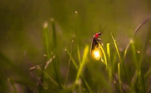 ө������ġ���Ʒ��