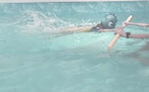 ȥ��Ӿ���ľ�����15ƪ��