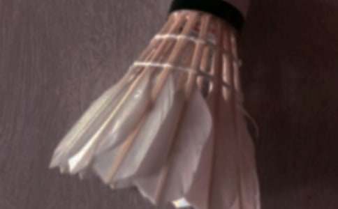 ����ë�����ıر�(15ƪ)