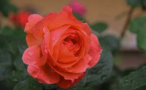 �¼�����600�֡�����3ƪ��