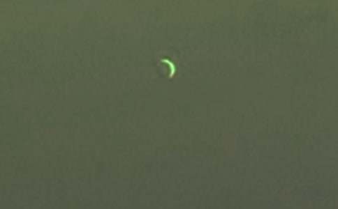 �����ϵ��㼣˵�θ�