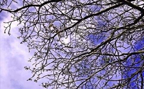 ���ر�������ϵ�簲΢���ʺ���ժ¼37��