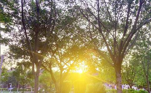 ����������ů���簲΢���ʺ���49��