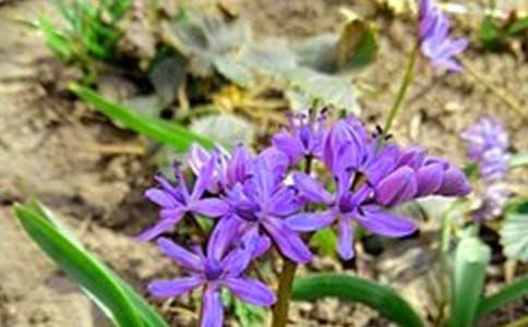 2021���й����õ��簲����Ȧף����41��